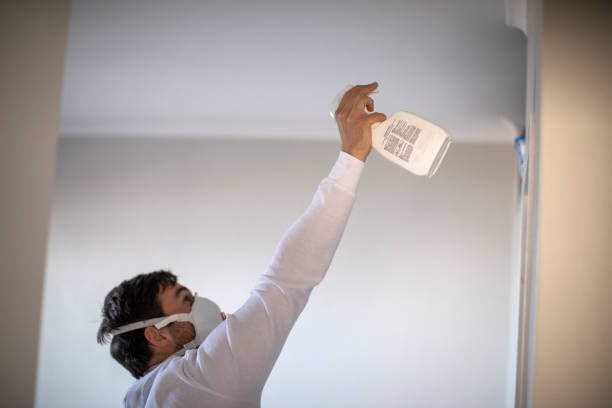 Best Crawl Space Mold Removal  in Downingtown, PA