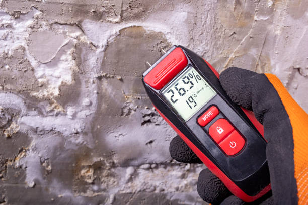 Best Commercial Mold Removal  in Downingtown, PA