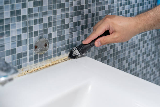 Best Mold Removal and Inspection  in Downingtown, PA